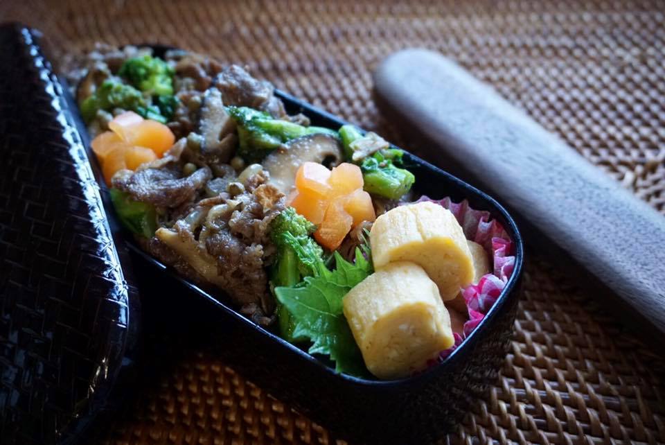 冬の準備が芽吹く時 春がきますよ 17年1月31日のお弁当 パジャマ屋