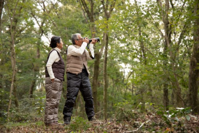 「歩く習慣」が質の高い睡眠（眠り）をつくる理由