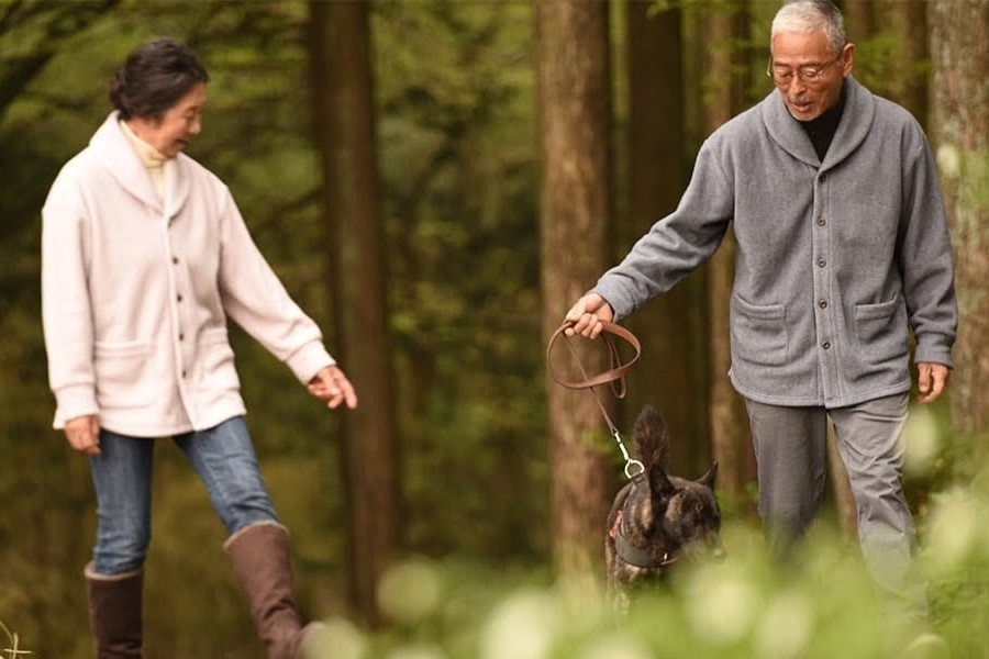 散歩とウォーキングの違いとは？どっちが健康にいい？効果的な歩き方と睡眠へのメリット