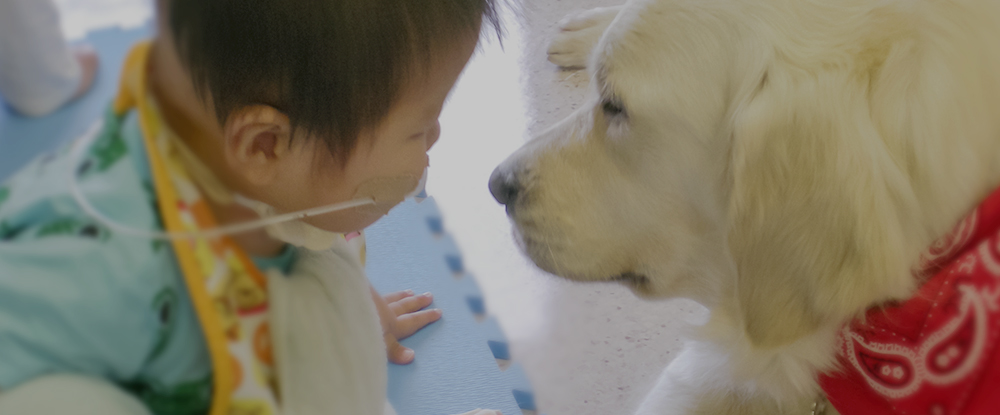 小児がんや重い病気と闘う子どもたちと、そのご家族を支えることに心血を注ぐ団体　『シャイン・オン！キッズ』