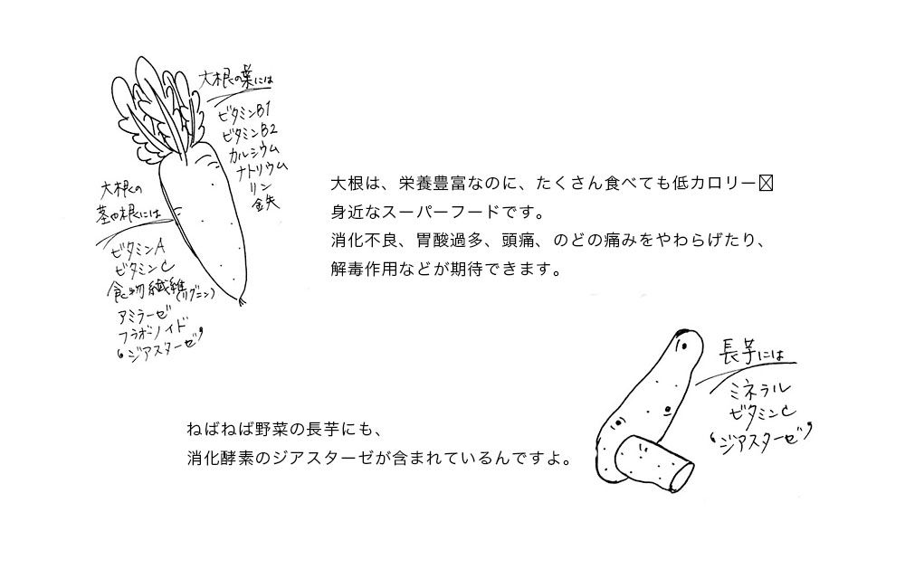 大根と長芋の栄養と効果