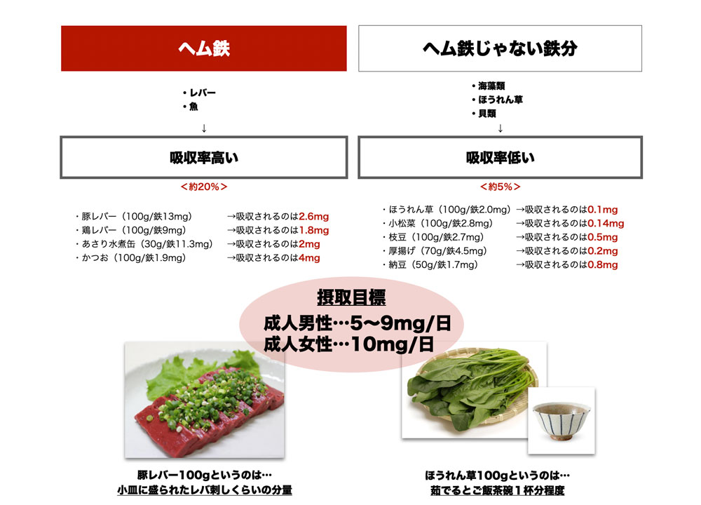 ヘム鉄と非ヘム鉄のちがい