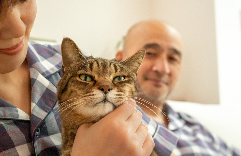 職場ねこのフィーちゃん 撮影現場に乱入…いや、ゲスト参加♪の巻