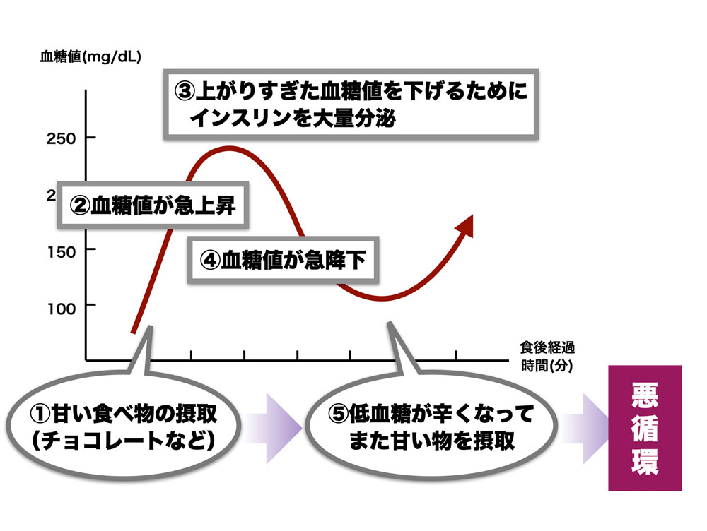 血糖値の動きと摂取したくなる食べ物の関係