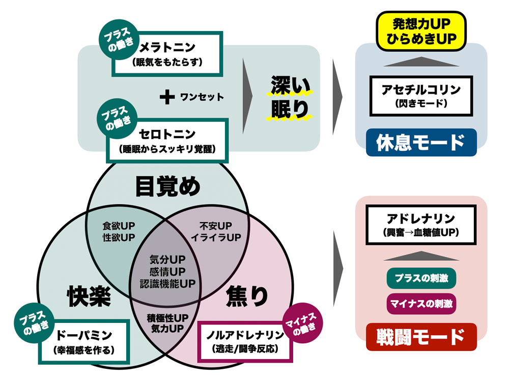 眠る1時間前は携帯を見ない