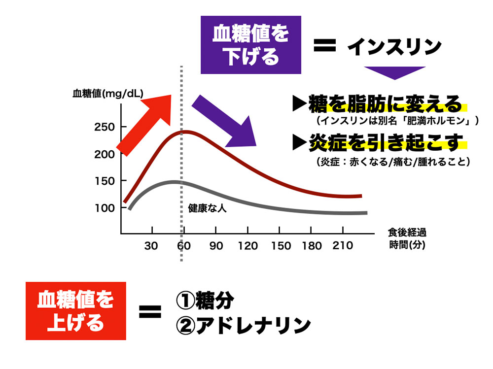 血糖値を上げる＝糖分、アドレナリン　血糖値を下げる＝インスリン