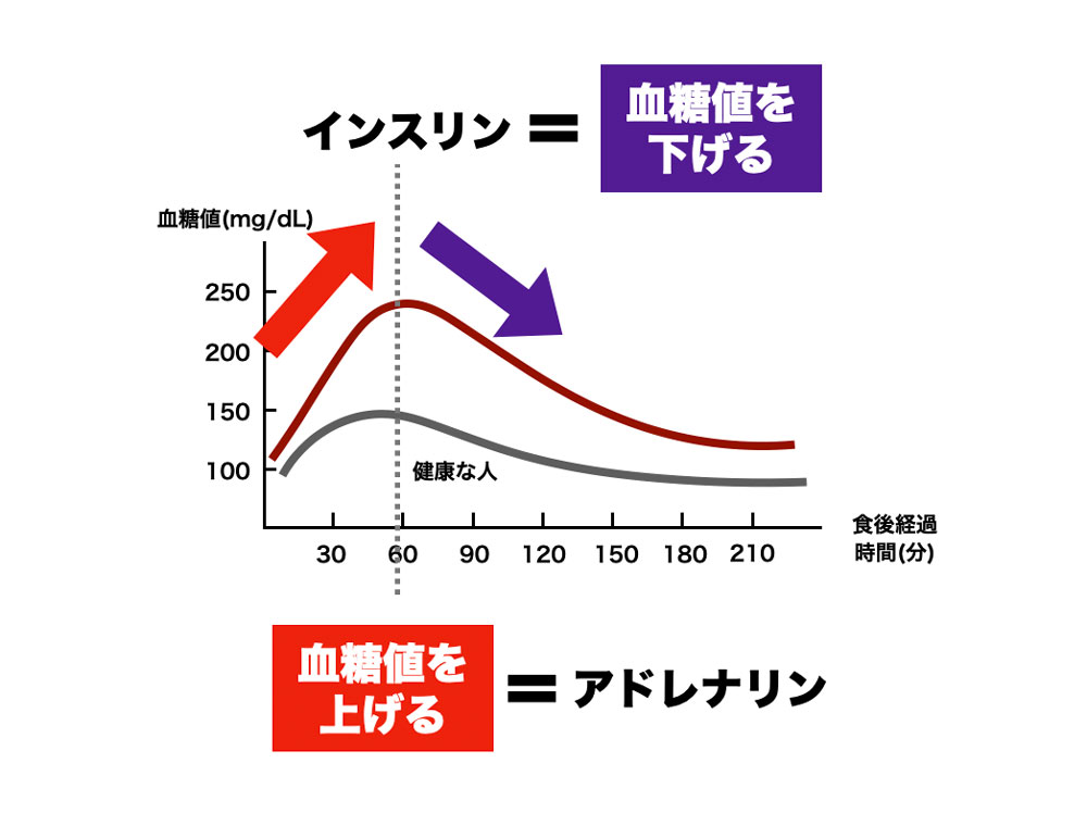 インスリン＝血糖値を下げる　アドレナリン＝血糖値を上げる