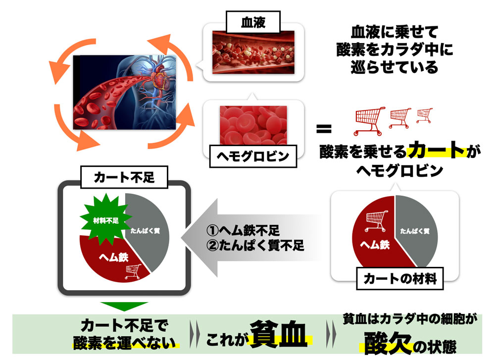 なんとなくの不調の原因　貧血