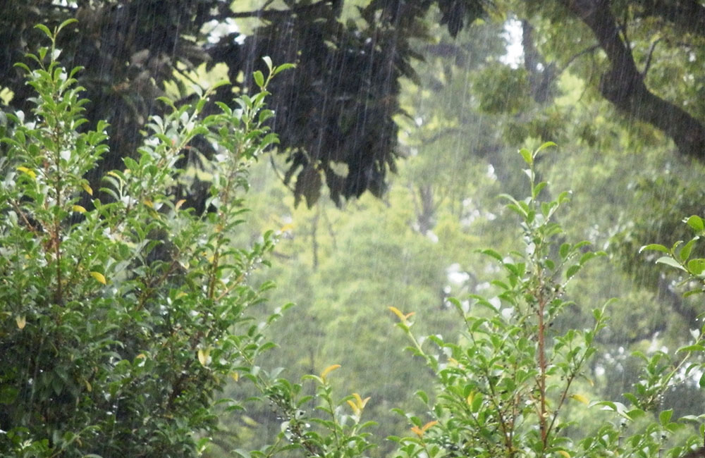 “激しい雨