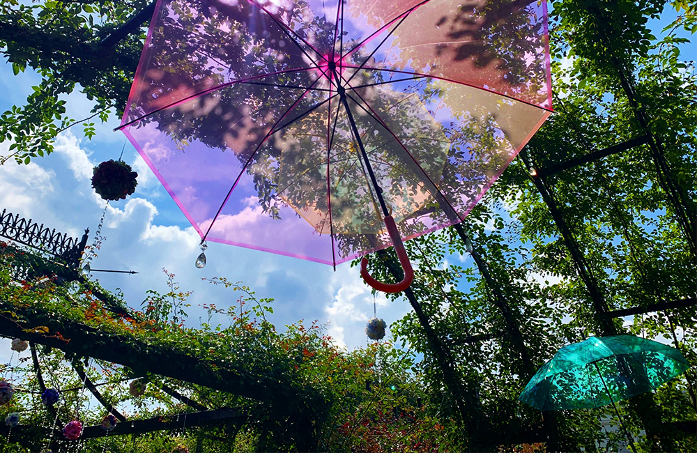””カラフルな傘