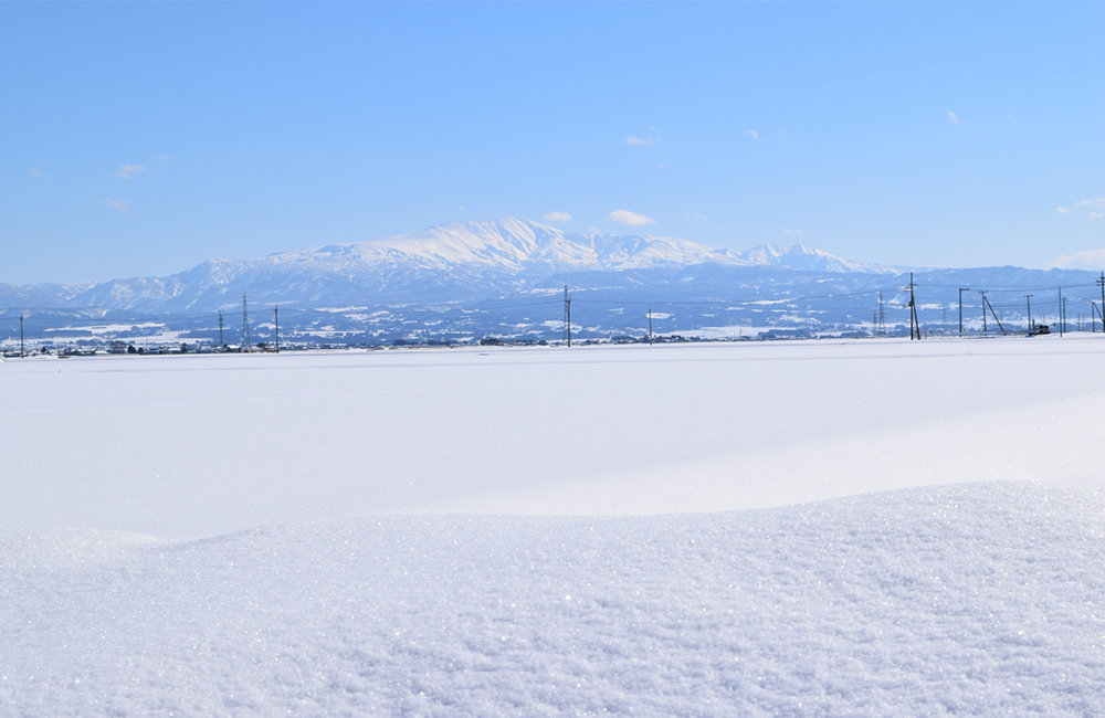 家にご挨拶を　　～　大雪　～