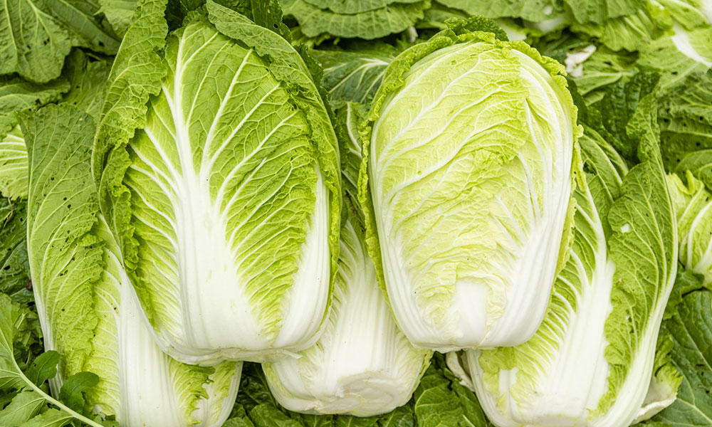 葉物野菜、特に、旬の白菜はメラトニンの分泌を整える食品