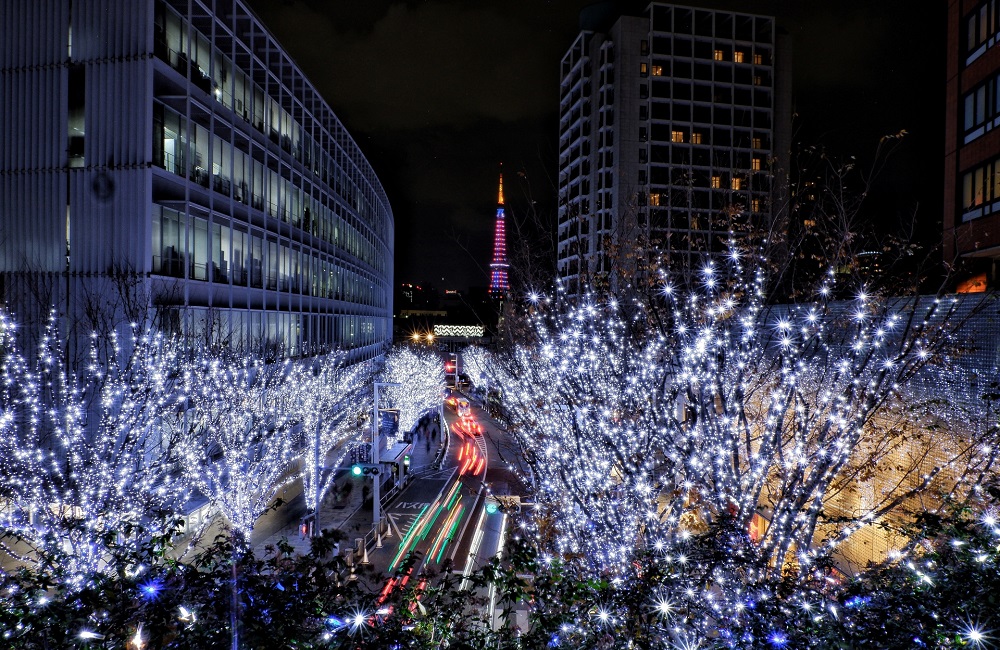 星降る夜の気づきごと　　～　大寒　～