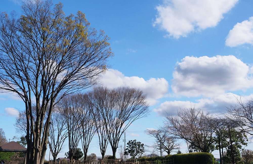 冬の景色と空