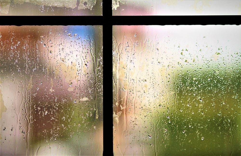 雨の窓