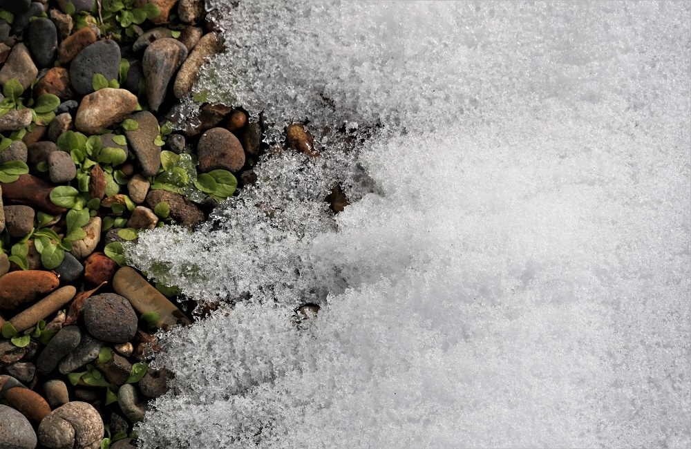 雪解けの様子