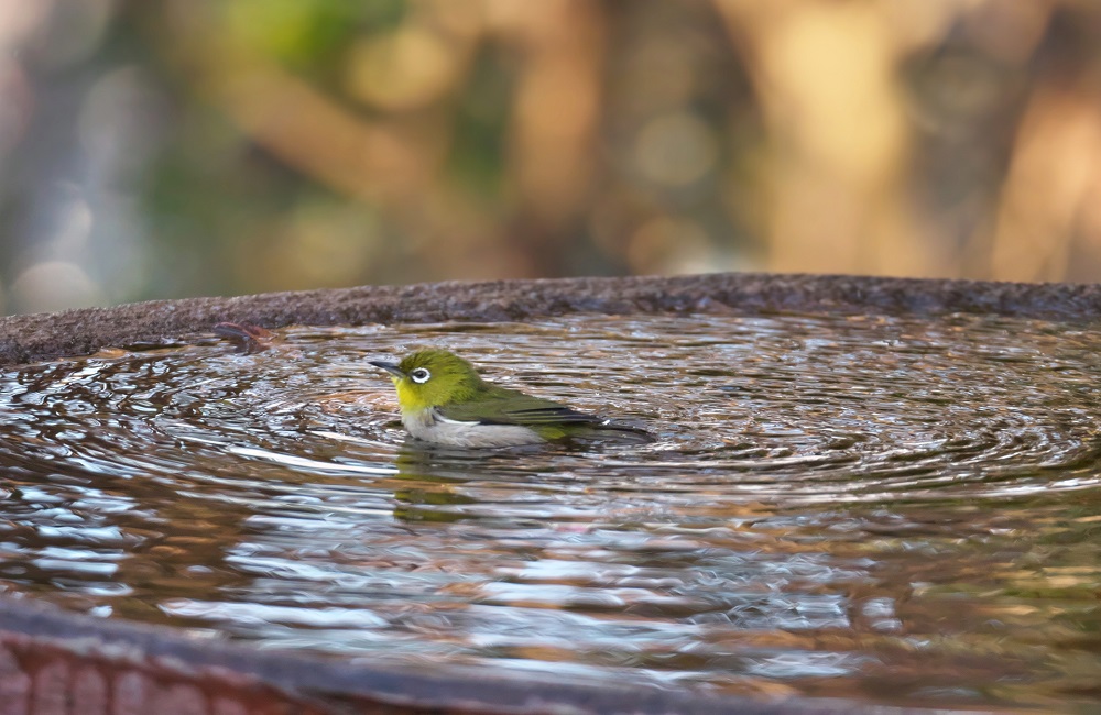 パジャマに着替えて…大人行水のすすめ