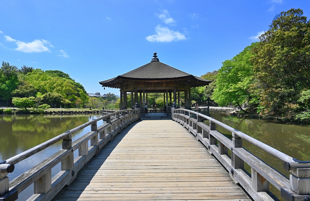 パジャマに着替えて…箸と橋