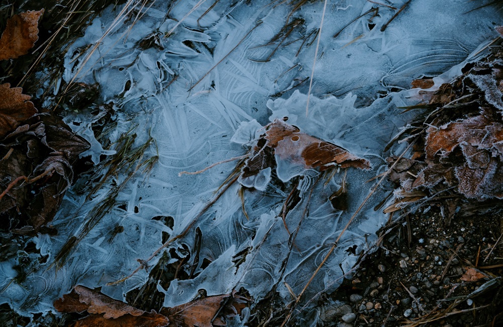 沢の水