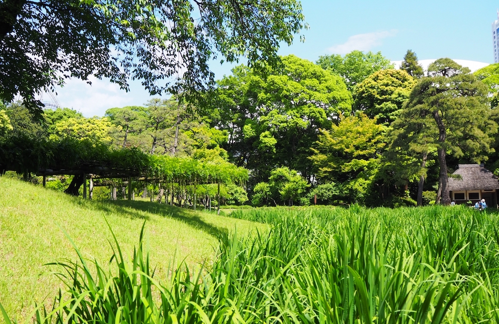 パジャマに着替えて…　　夏至～水の動き