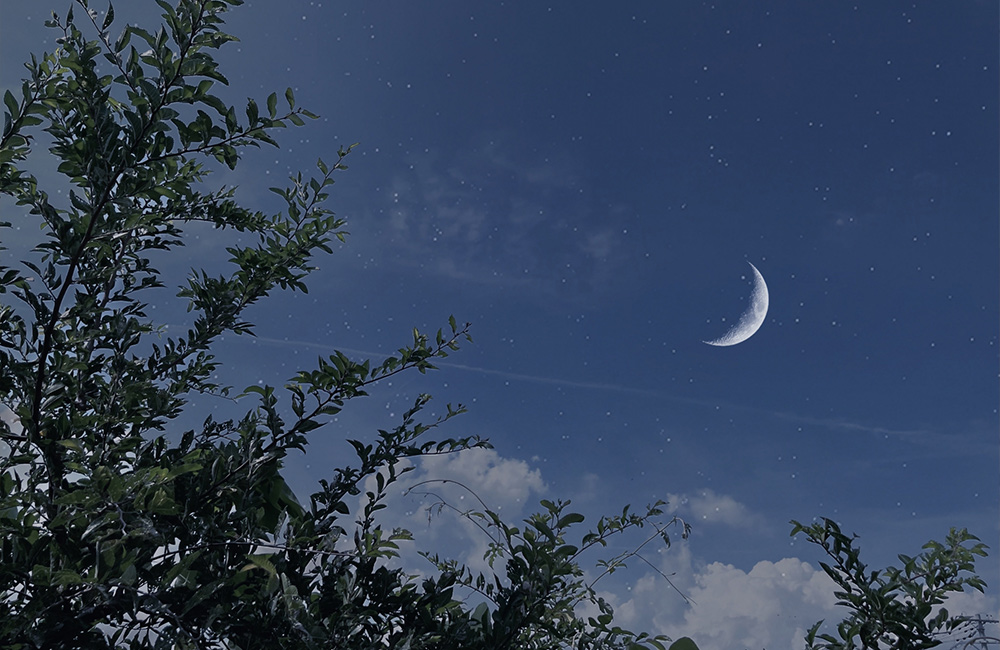 真夏の夜の夢　妖精
