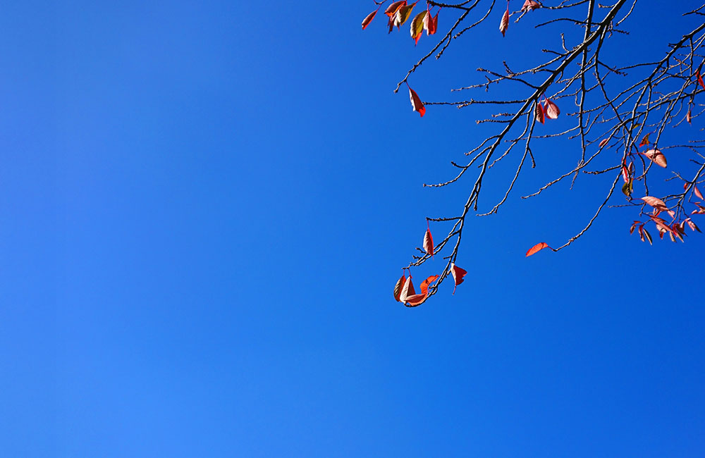 パジャマに着替えて…　小雪～くるみ割り人形