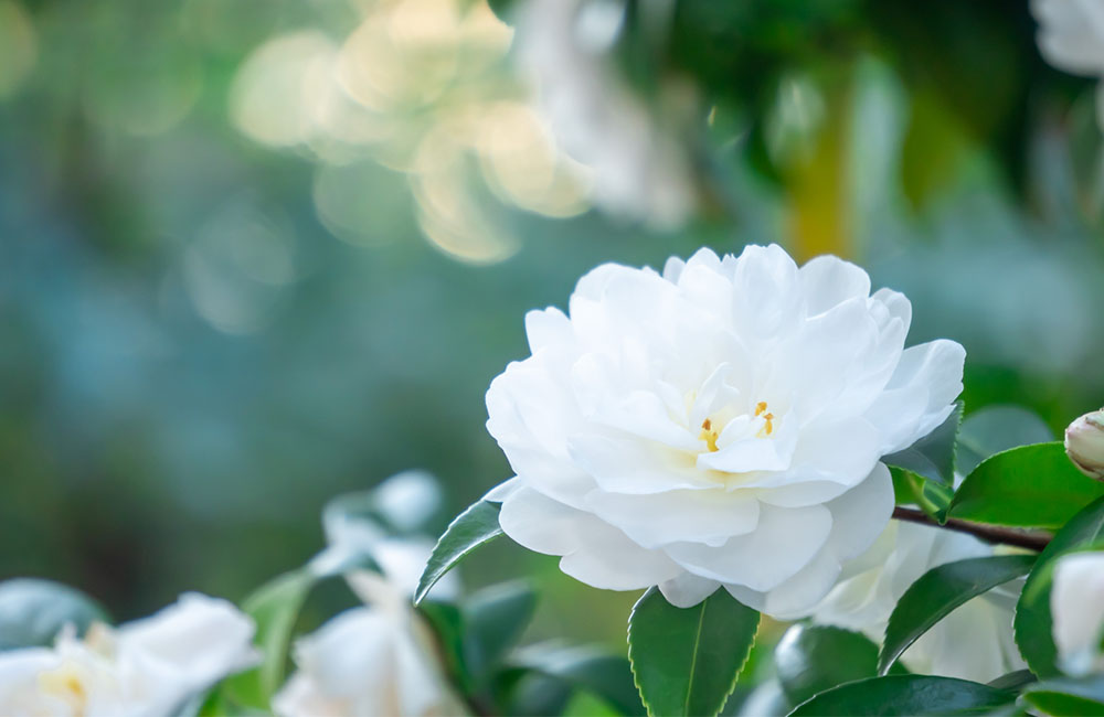 パジャマに着替えて… 立冬~月が綺麗ですね