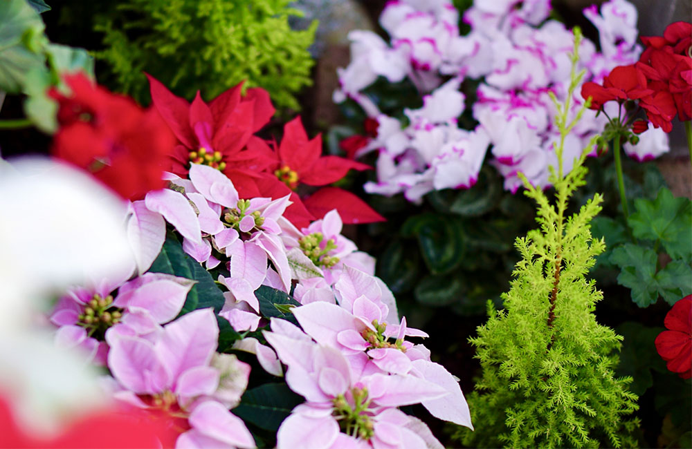 パジャマに着替えて…　　大雪～平和と愛へ
