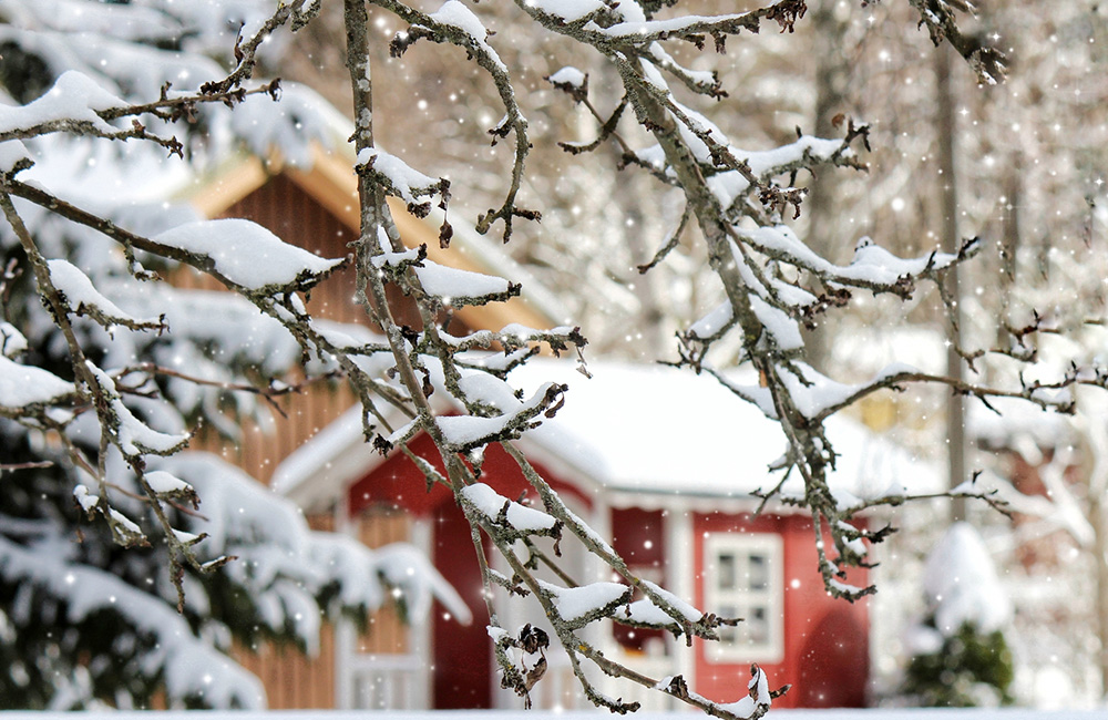 ヴァイオリン協奏曲「四季」、第4番「冬」（