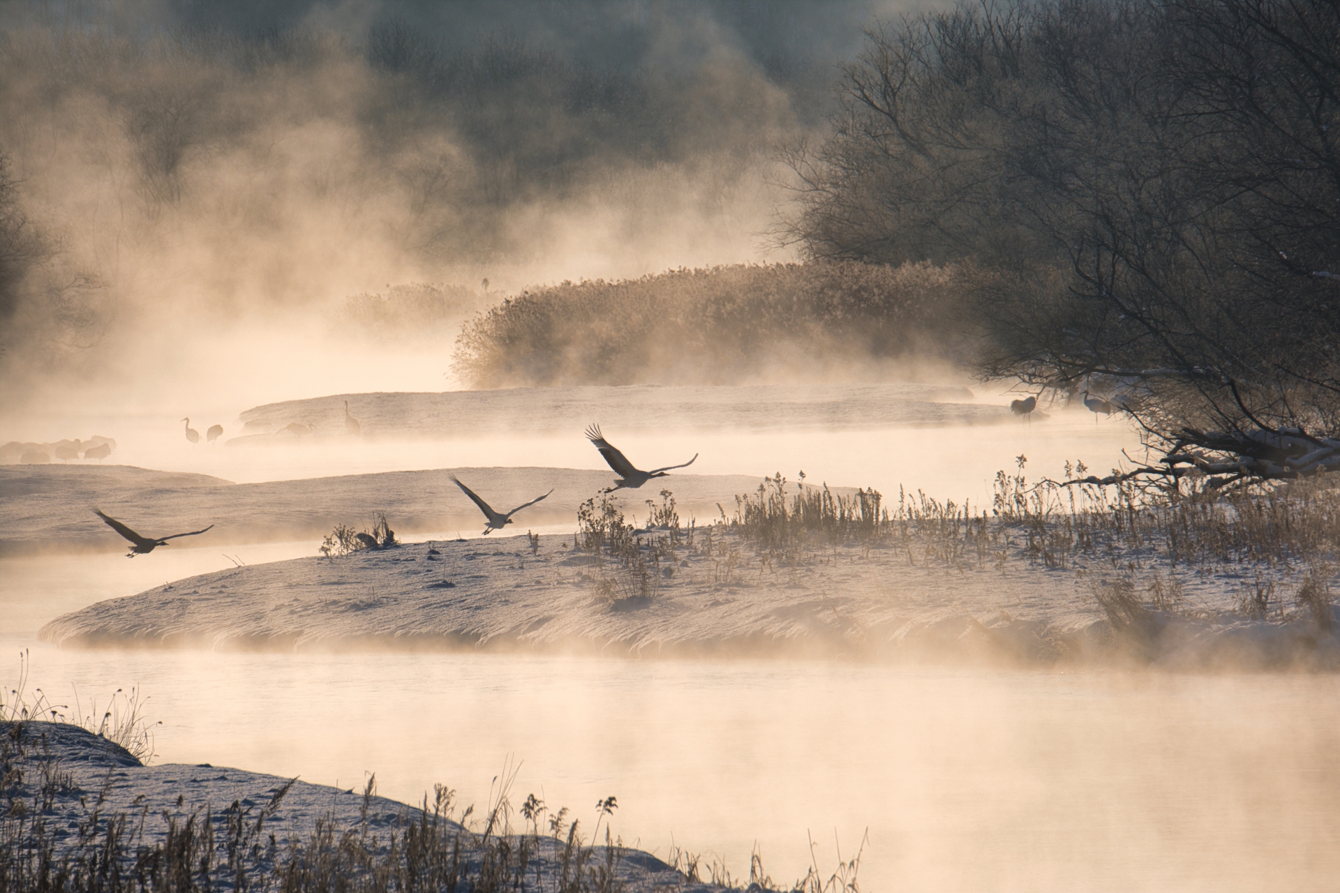 パジャマに着替えて… 冬至~冬の光の香り