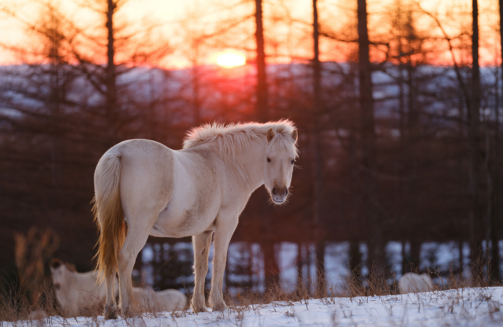 パジャマに着替えて…　　小寒～小さな気配