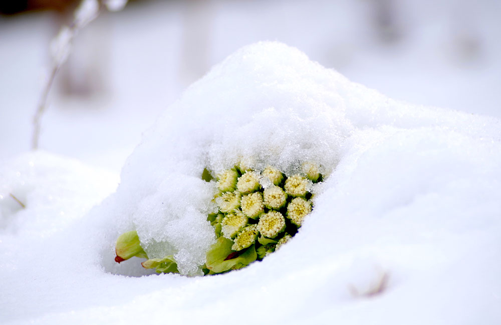 パジャマに着替えて… 大寒~新しい世界へ