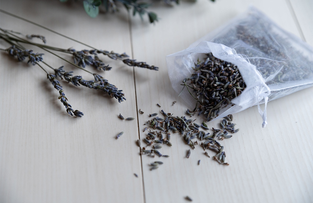 パジャマに着替えて…　　立春～香りの世界へ