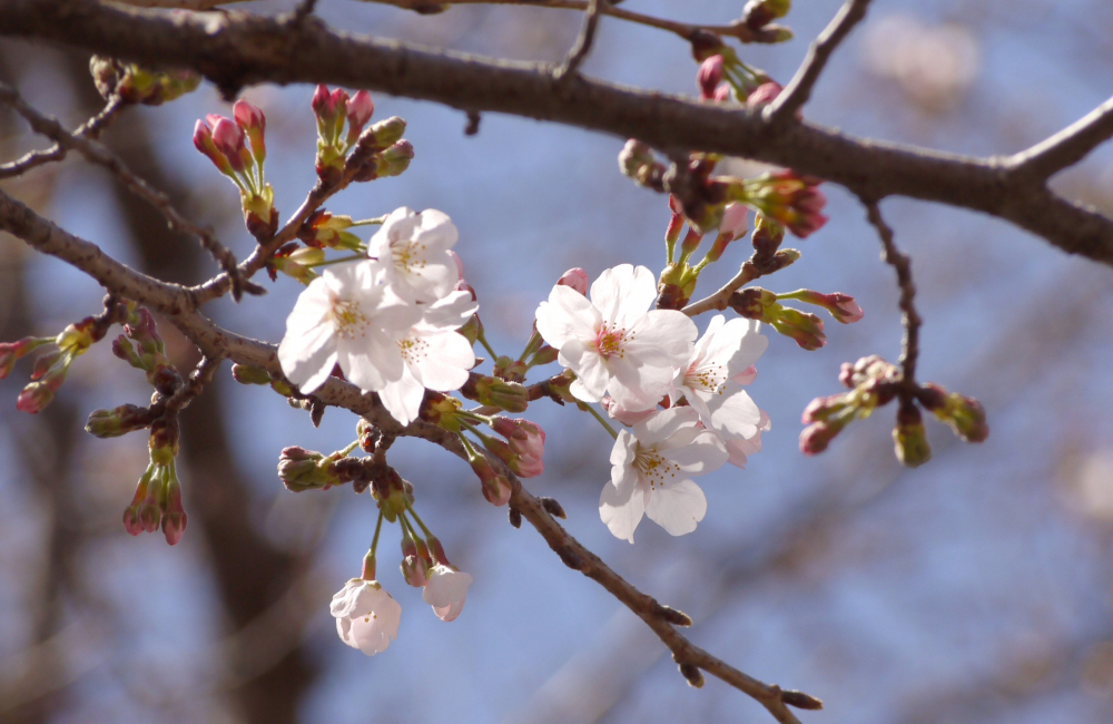 パジャマに着替えて…　春分～揺らぎをほどくミカン色