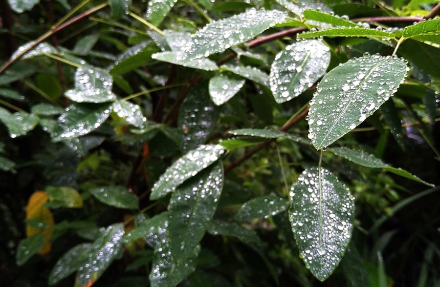 梅雨の季節、眠れないのは湿気が原因!?｜快適暮らしのひと工夫