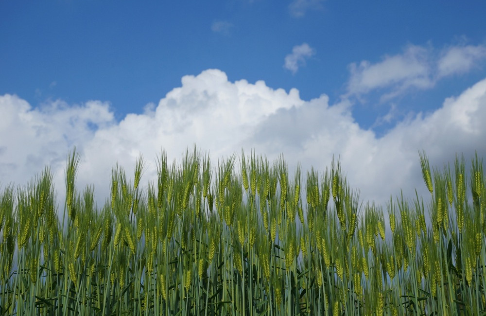 指圧de睡眠の質向上を！62歳のお受験、結果はいかに？