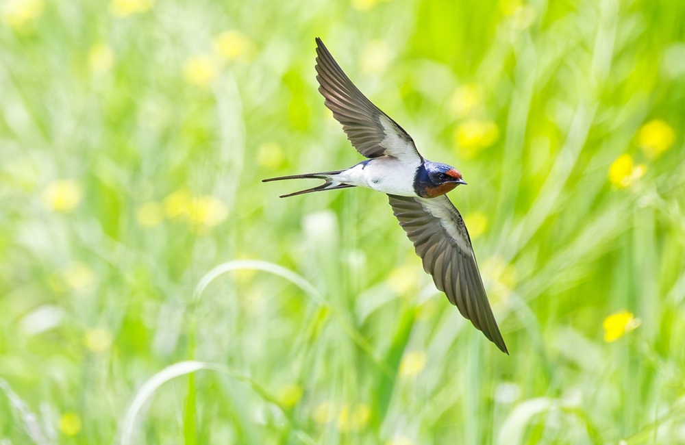 パジャマに着替えて…　　　清明～風を通す