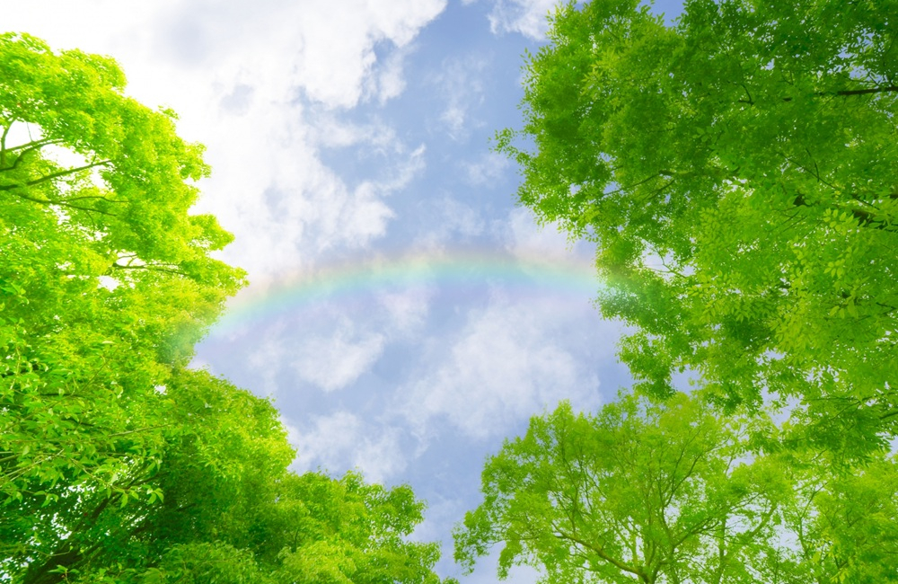 雨上がりの空の虹