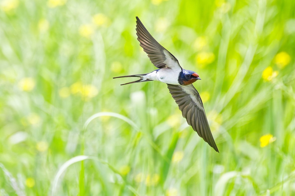パジャマに着替えて…　　　清明～風を通す